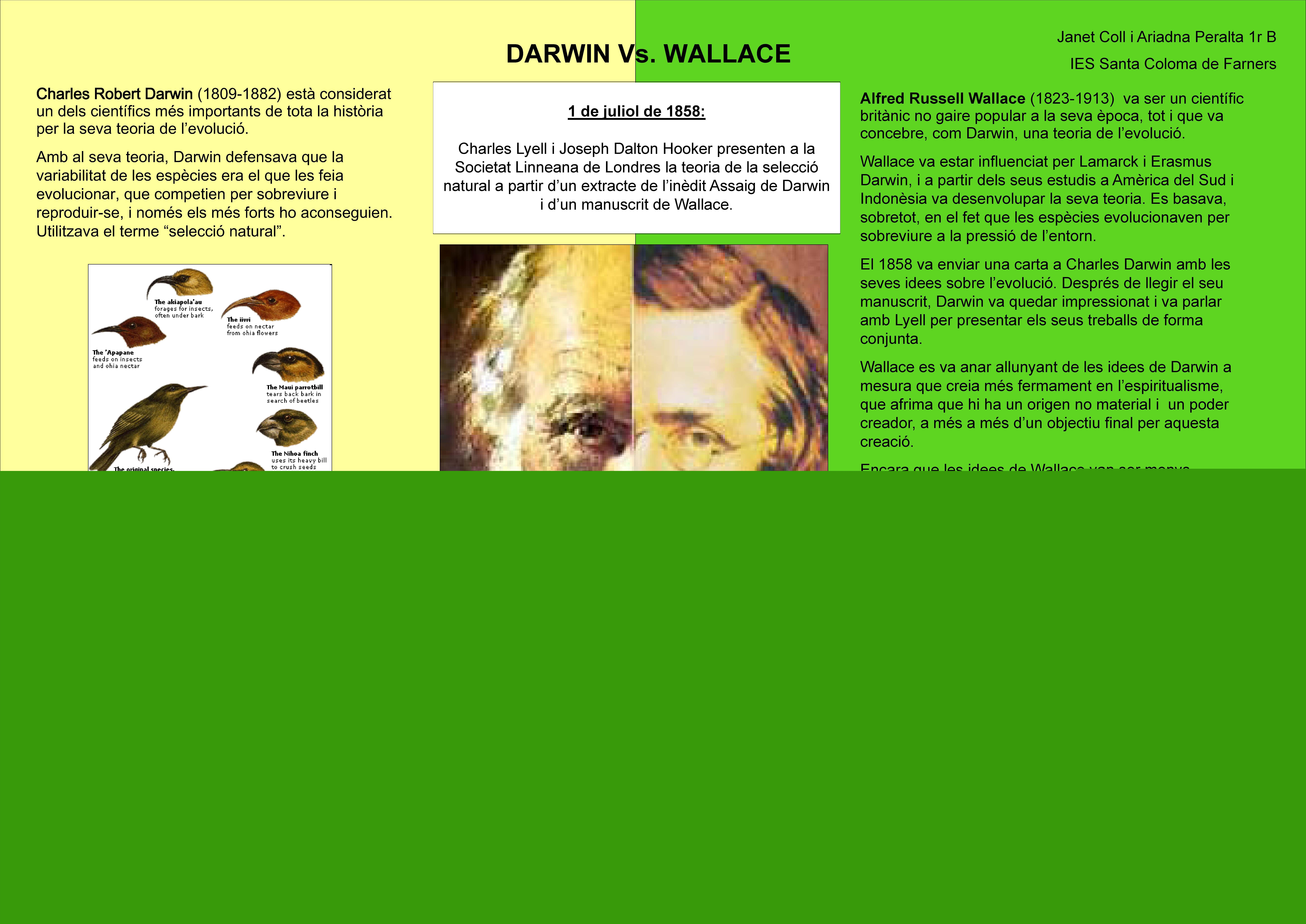 CONCURS DE PÒSTERS ANY DARWIN